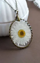 گل خشک بابونه سفید gallery1