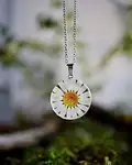گل خشک بابونه سفید thumb 6